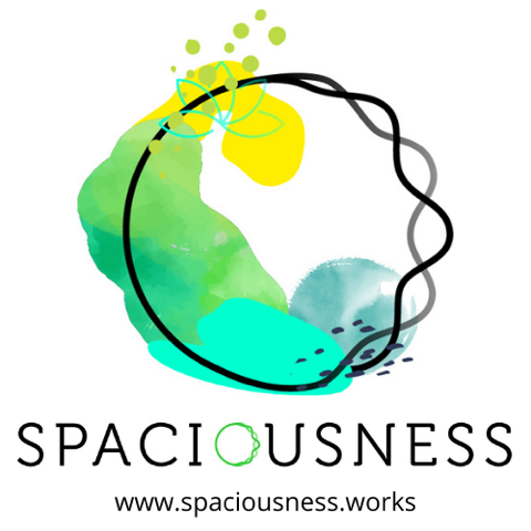 Spaciousness Works Logo